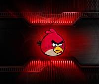 pic for Red Angry Bird 1200x1024